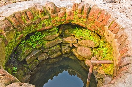 Moss and ferns on orginal well - Click to show bigger image in new browser