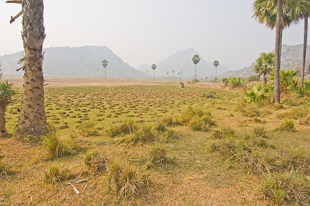Paddy fields surrounding the Gopika cave - Click to show bigger image in new browser