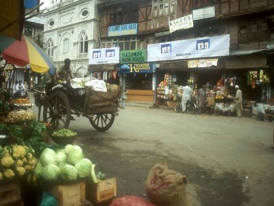 Srinagar old town 2005 - Click to show full-size image in new browser