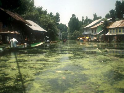 Water market near Srinagar - Click to show full-size image in new browser