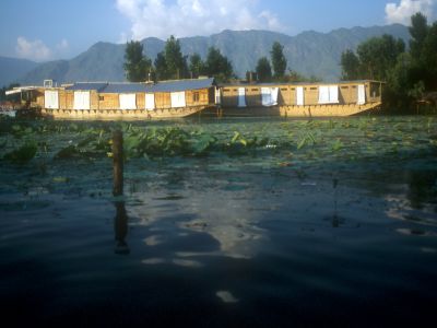 Houseboats on Lake Dal - Click to show full-size image in new browser