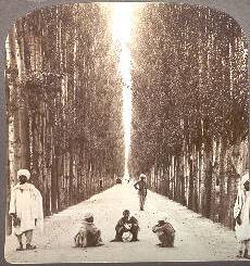 The road from Srinagar to Baramula