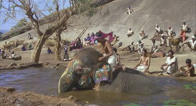 The elephant takes a bath - Click to show full-size image in new browser